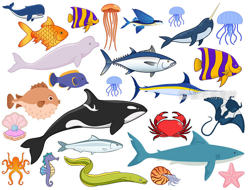 鱼类和海洋世界的多样性。