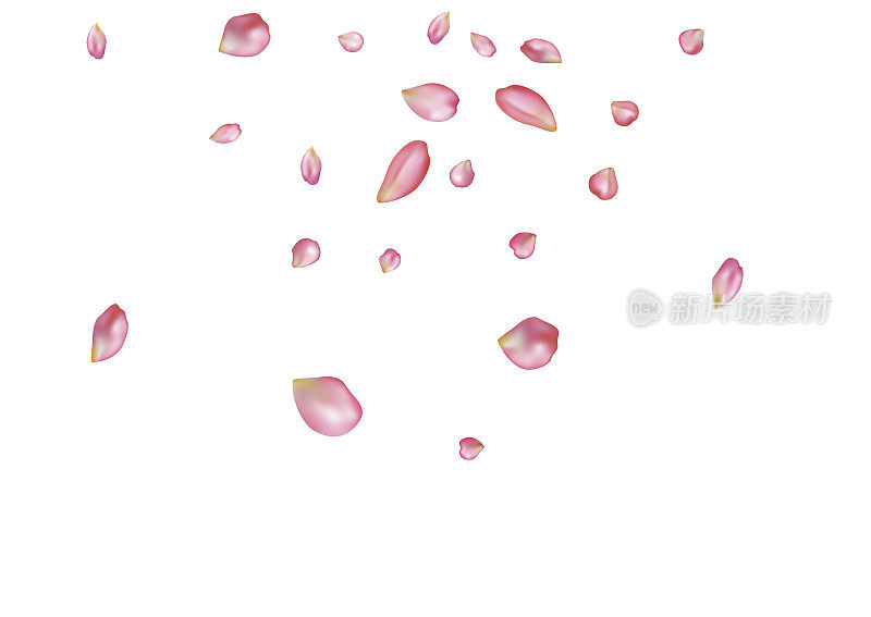 抽象背景与飞舞的粉色玫瑰花瓣。