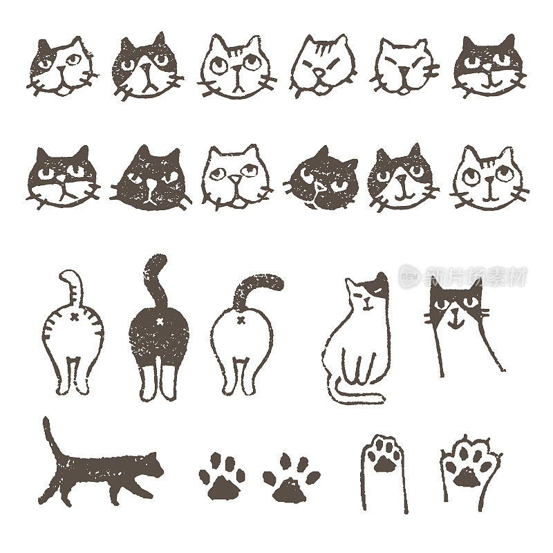 各种各样的猫，脸，爪子和脚印