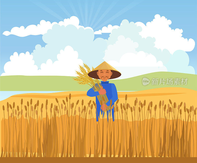 农民收割小麦