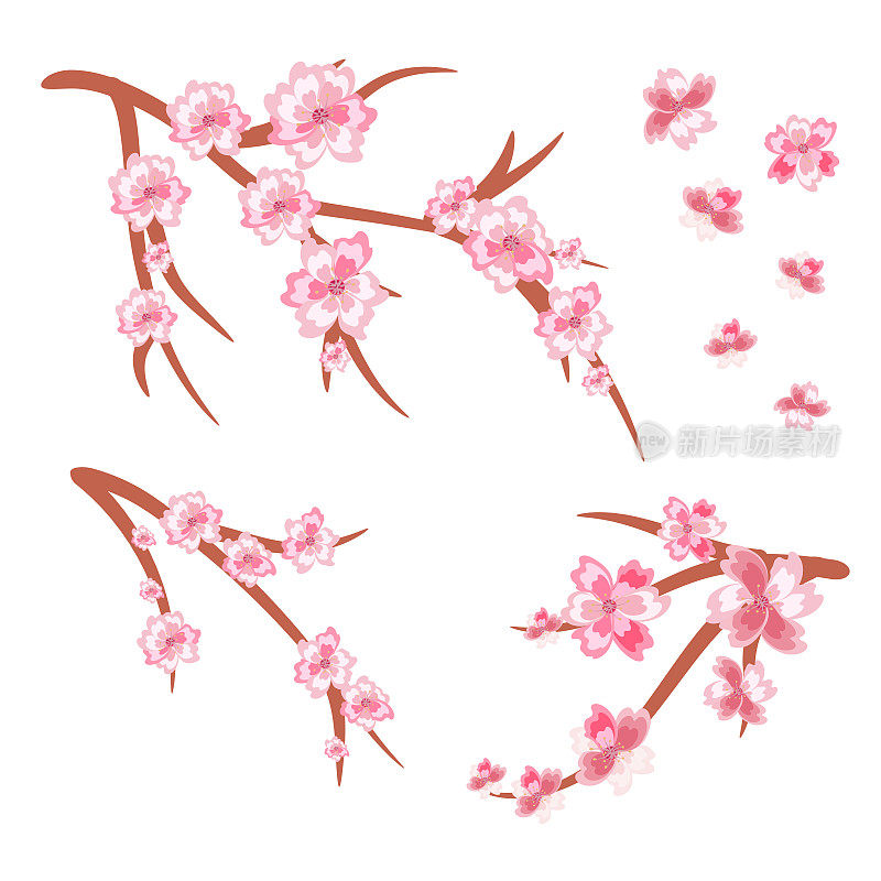 春日樱花盛开，枝叶矢集为您自己设计。樱花花枝，粉红色花的插图。
