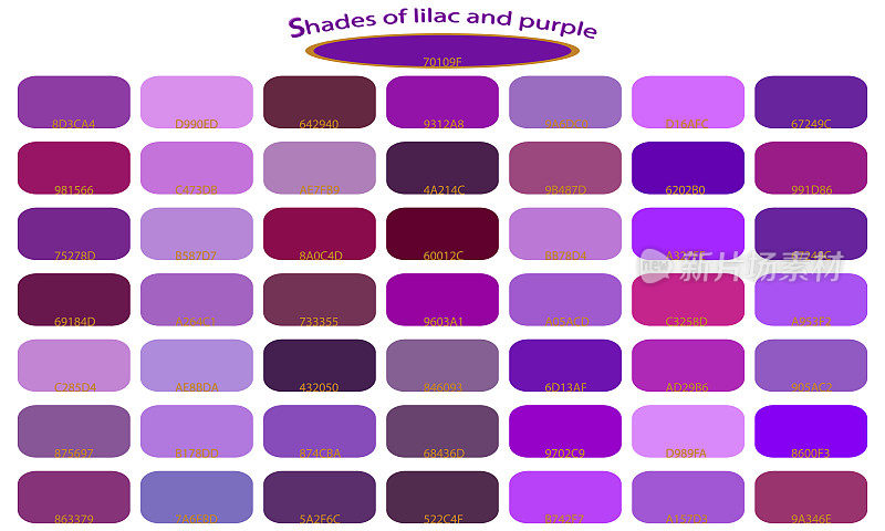 紫色，紫色和淡紫色的阴影孤立在白色的背景。紫色、紫罗兰色和淡紫色的色调。用代码给背景上色。矢量插图调色板。