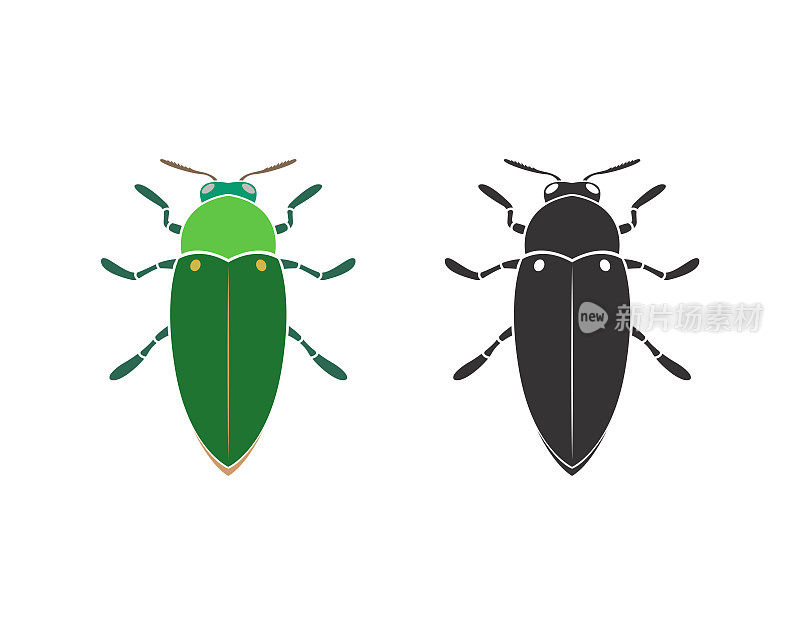 白色背景上的宝石甲虫矢量。昆虫。的动物。甲虫。易于编辑的分层矢量插图。