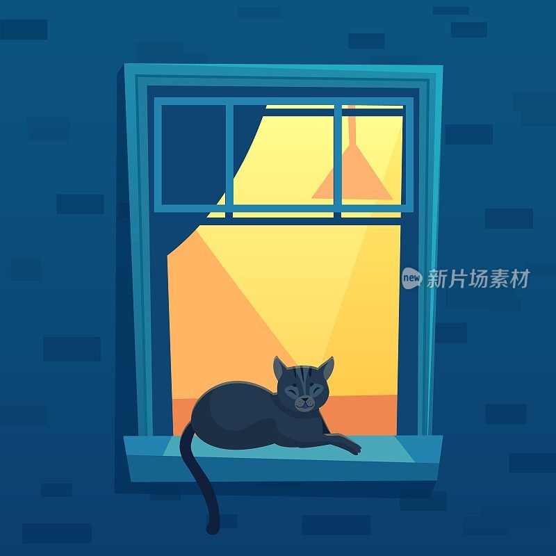 猫躺在灯火通明的城市公寓的窗户在晚上时间。窗台上有一只小黑猫