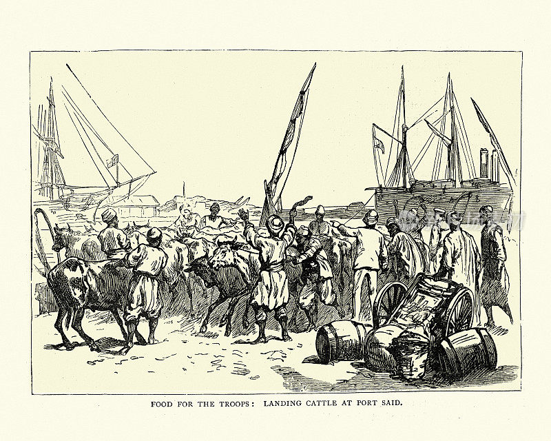 19世纪80年代,埃及塞得港