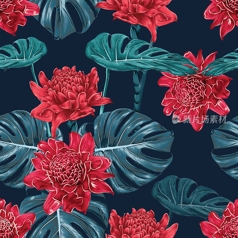 无缝图案红色火炬姜花和怪物绿色的叶子在孤立的深蓝色背景。矢量插图干水彩手绘风格。织物设计texitle
