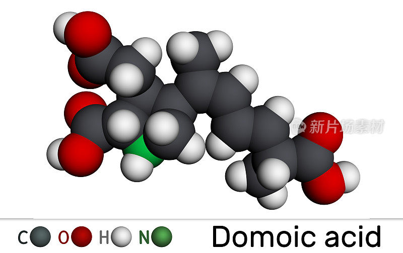 软骨藻酸，DA神经毒素分子。它是红藻酸的类似物，由双原子藻伪尼茨藻产生。分子模型。三维渲染