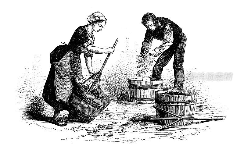 19世纪工业、技术和工艺的古董插图:葡萄酒生产