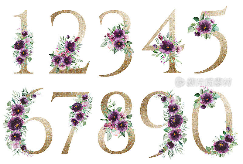 淡金色数字与水彩紫色玫瑰和绿叶花束。花的字母