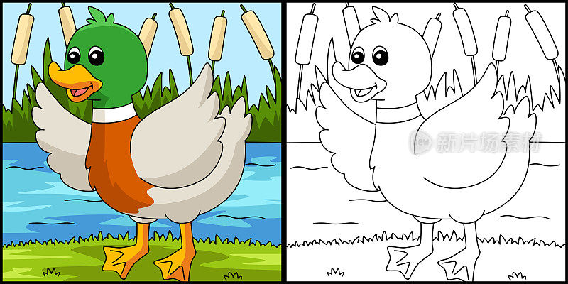 鸭子着色页彩色插图