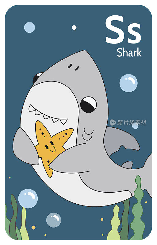 鲨鱼的信。A-Z字母集合与可爱的卡通动物在2D。灰色的鲨鱼在海藻中游动，用鳍状肢抓着一只海星。手绘有趣简单的风格。