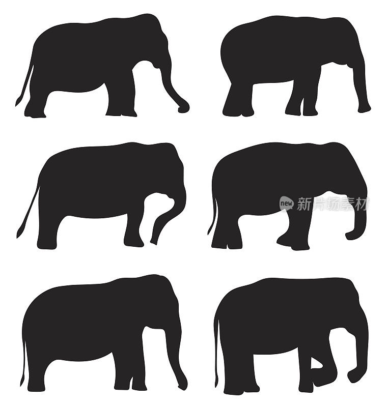 大象的黑色剪影