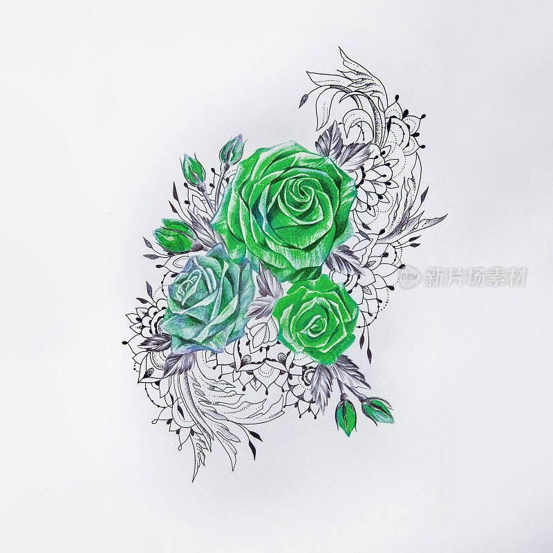 白色背景上美丽的绿色玫瑰素描。