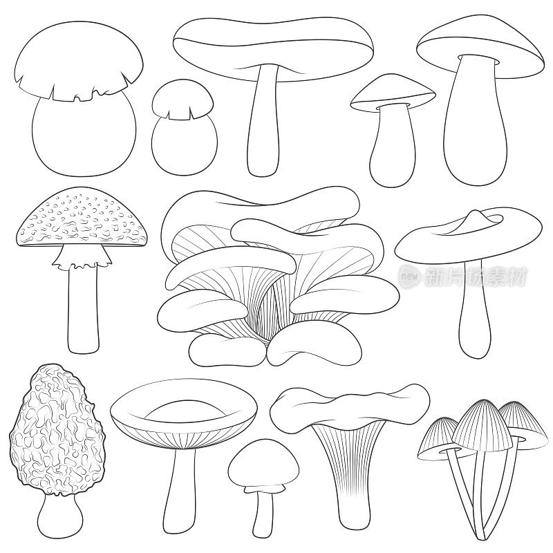 一组带有蘑菇的黑白图像。孤立的矢量对象。
