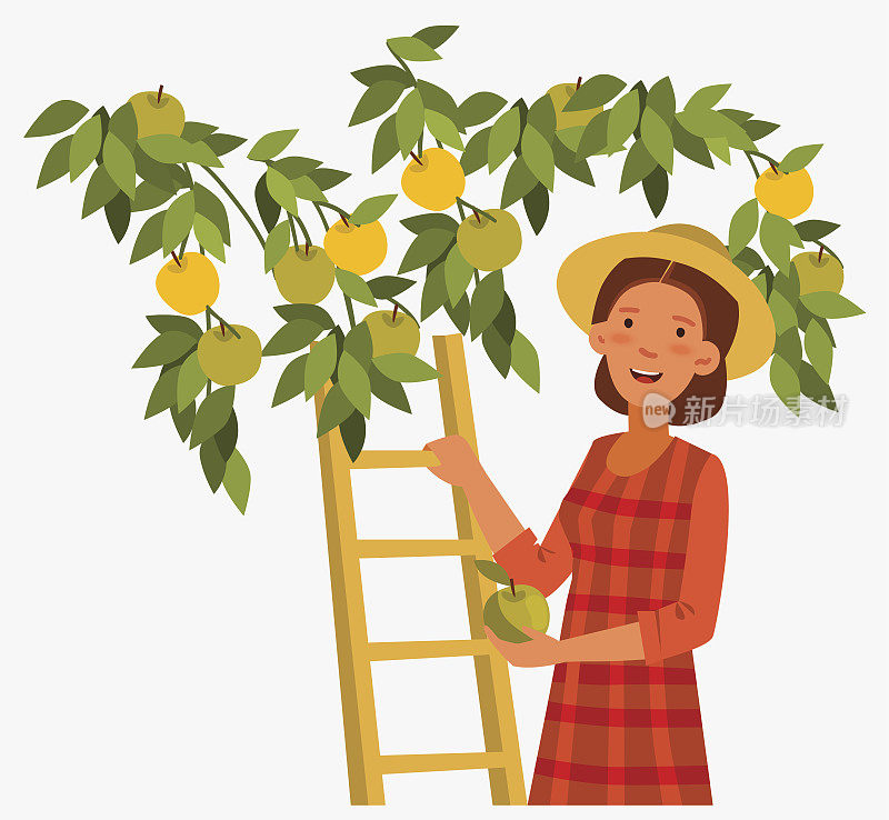 一个年轻女子在花园里从树上摘苹果