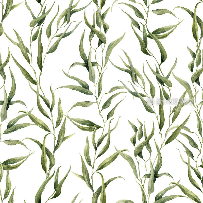 水彩绿色花无缝图案与桉树叶。手绘图案与树枝和树叶的桉树孤立在白色的背景。设计或背景