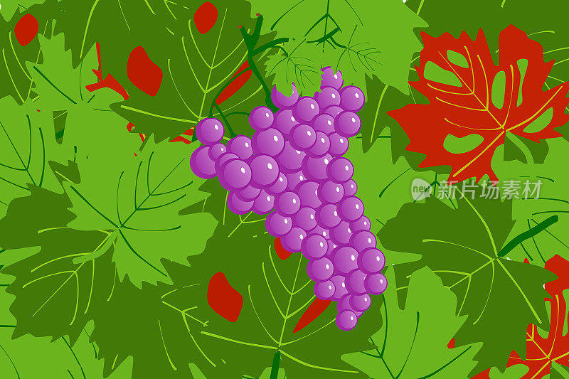 一串葡萄和叶子在背景上的插图
