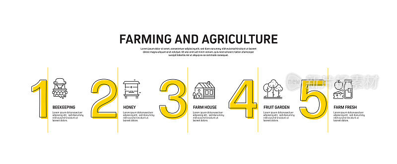 农业和农业相关过程信息图模板。过程时间图。带图标的工作流布局