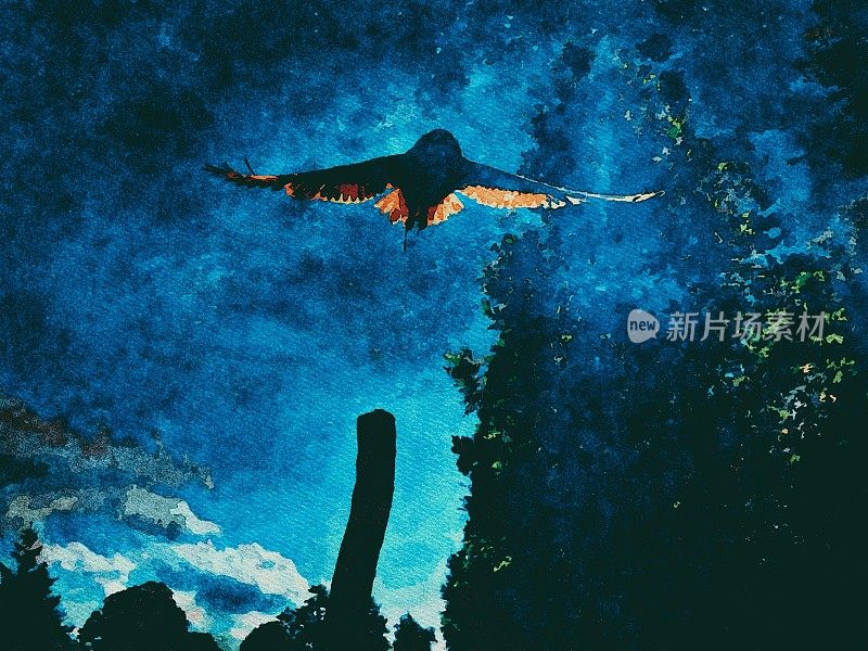 一只猫头鹰在夜间飞行的水彩插图