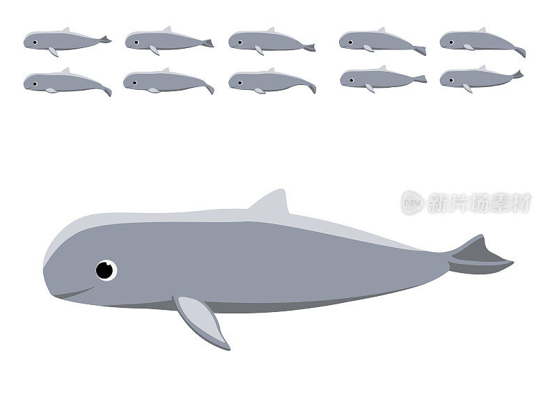 动物动画伊洛瓦底江海豚卡通矢量序列帧