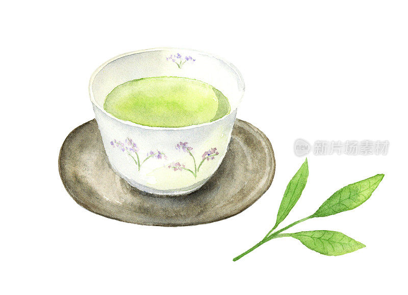日本茶和茶叶的水彩画插图