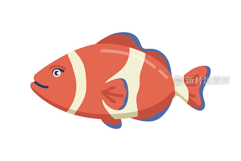 两栖类水下动物，孤立的海洋和海洋生物。有彩色身体和用于游泳的鳍的海洋生物。矢量平面卡通风格