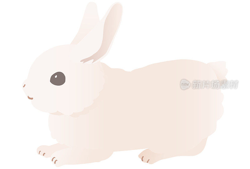 白色兔子拉屎矢量插图。其他姿势也可以。
