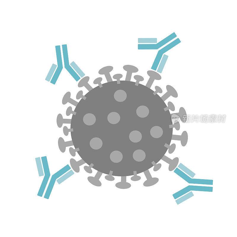 冠状病毒分子的图标概念:SARS-CoV-2或其他类型的病毒与中和抗体结合，以中和特定的病原体。