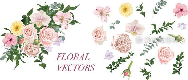 floralvectors