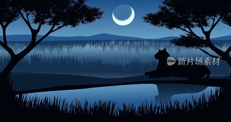 大草原的夜晚，新月和一只豹在池塘边休息