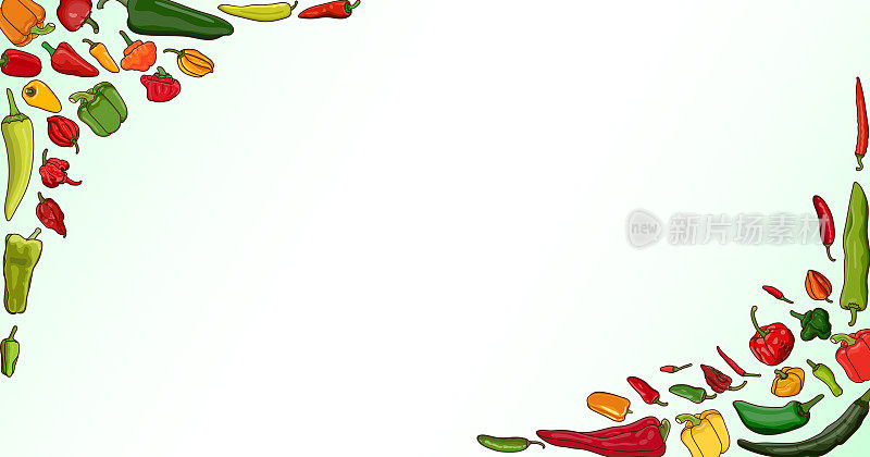 横横幅上有不同类型的辣椒。甜辣椒。微辣，中辣，小辣辣椒。蔬菜。卡通风格。矢量插图隔离在白色背景上。模板。