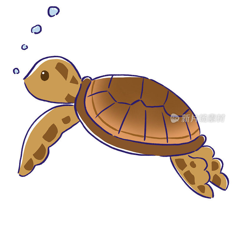 一只海龟在海里游泳的可爱插图