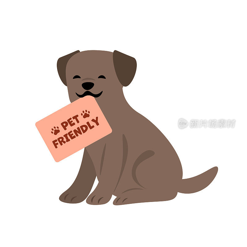 宠物友好,可爱的狗。