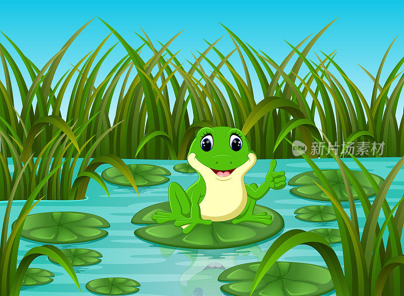 江景与快乐的青蛙在树叶上