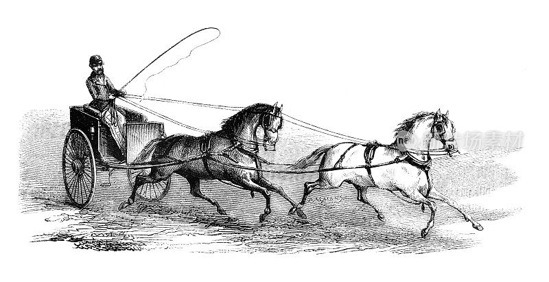 1874年，人类驾驶双轮马车
