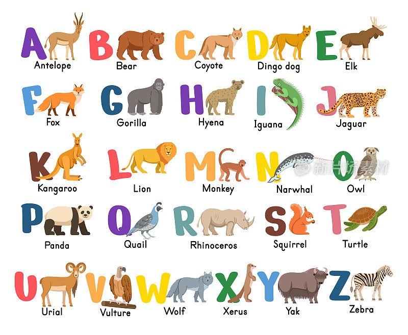 字母与动物。孤立的大写字母与相关的动物，鸟类。儿童标志包装ABC书，教育海报。