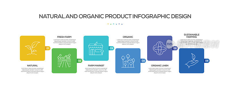 自然和有机相关过程信息图表模板。过程时间图。带有线性图标的工作流布局
