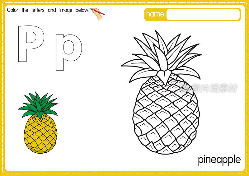 矢量插图的儿童字母着色书页与概述剪贴画，以颜色。字母P代表菠萝。