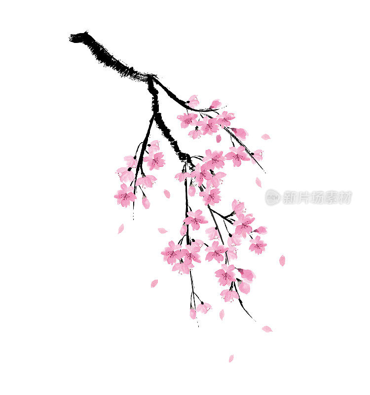 水墨画向量插图哭泣的樱桃树
