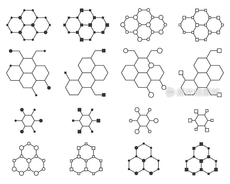 分子标记向量集