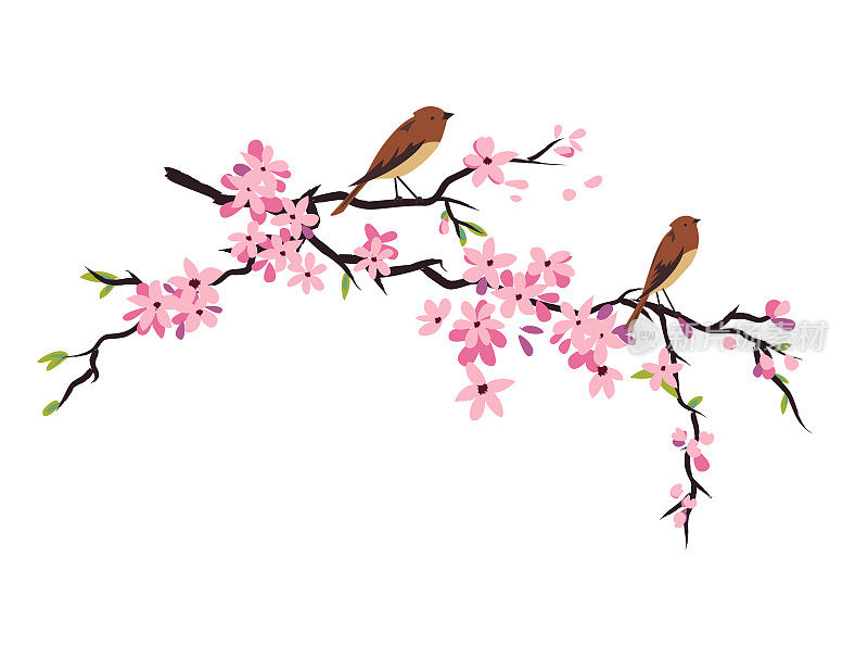 手绘樱花枝与可爱的鸟在一个透明的基地