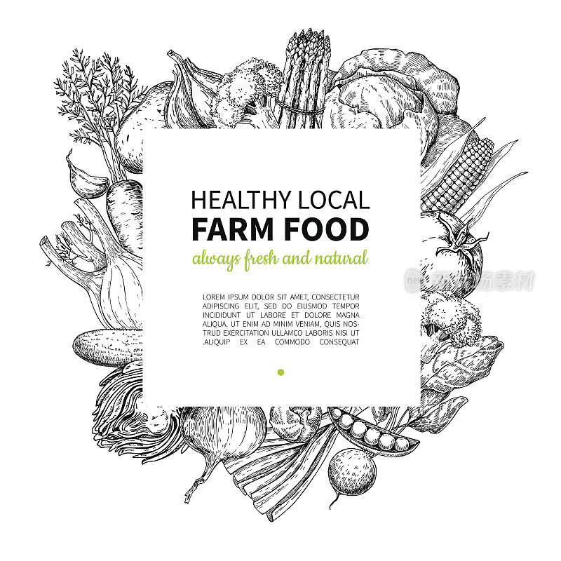 蔬菜手绘复古矢量框架插图。农业市场的海报。