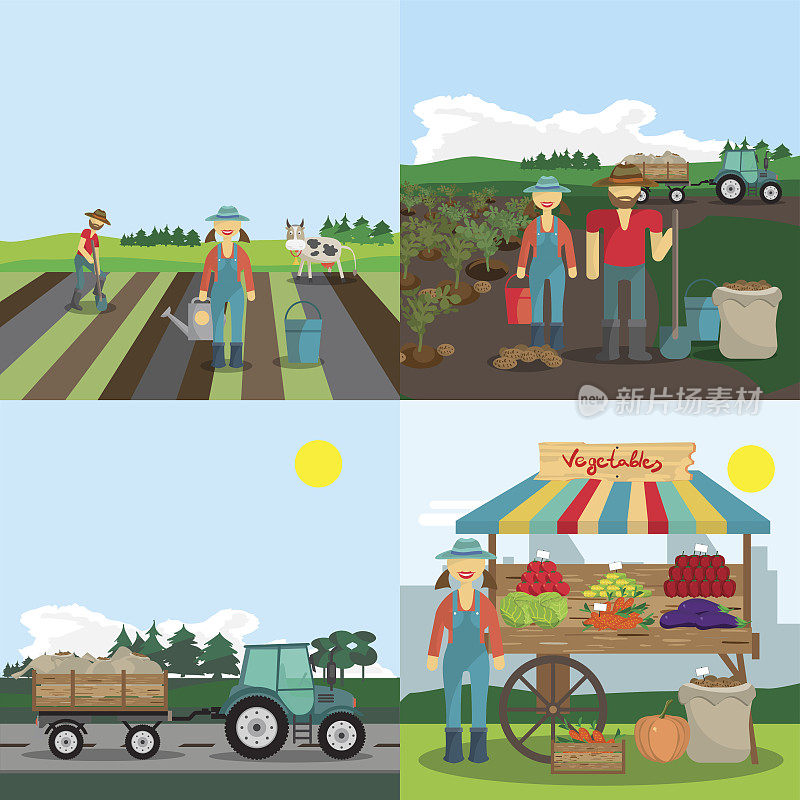农场的家庭活动。种植，种植和销售蔬菜的过程