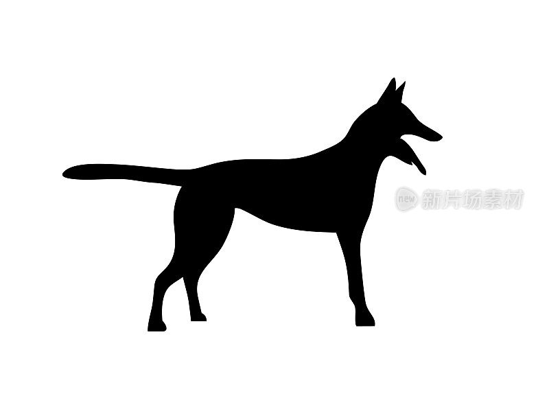 的狗。比利时牧羊犬马里诺斯。2018年的象征。向量。黑白风格