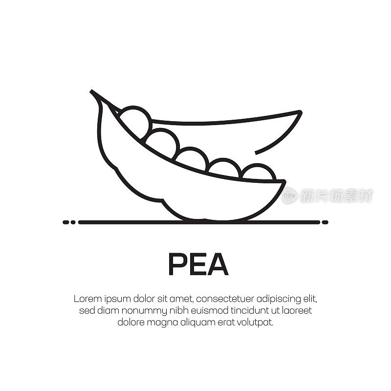 绿色豌豆向量线图标-简单的细线图标，优质的设计元素