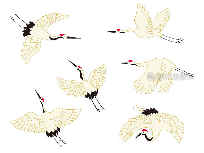 白色背景插图上的日本鹤图标