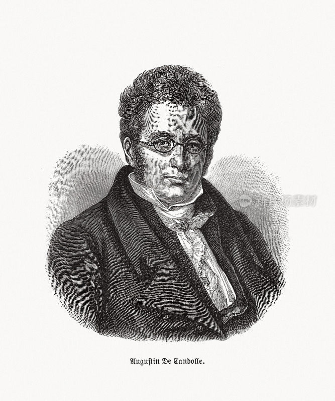奥古斯丁・皮拉缪斯・德・坎多尔(1778-1841)，瑞士植物学家，木版画，1893年出版