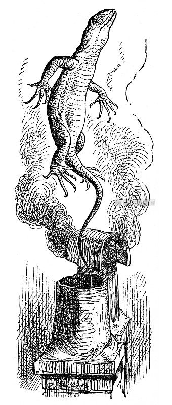 从烟囱里出来的蜥蜴――1897年《爱丽丝梦游仙境》