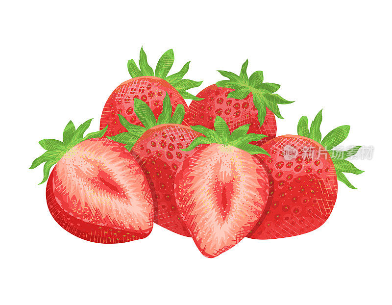 草莓剪贴画，矢量插图