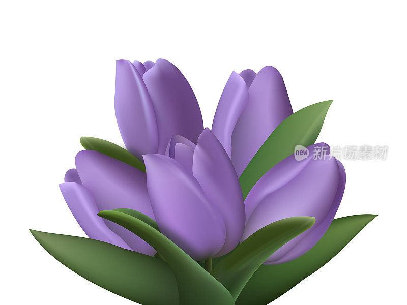 现实的紫色三维花束五郁金香花